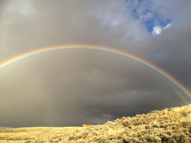 Rainbow. Photo by Renee Smythe.