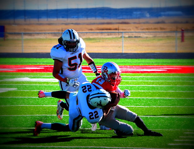Tackle - Criddle. Photo by Terry Allen.