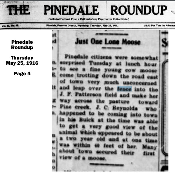 First Moose seen in Pinedale-1916. Photo by Pinedale Roundup, 1916.