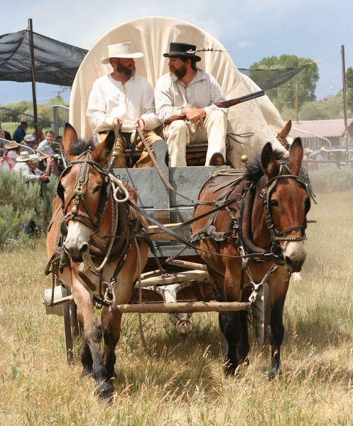 American Fur Company wagon. Photo by Clint Gilchrist, Pinedale Online.