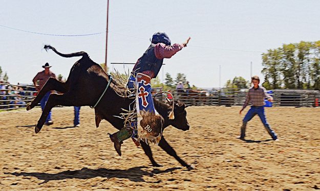 Steer Riding. Photo by Terry Allen.