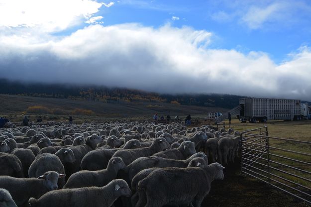 Clouds Threaten. Photo by Cat Urbigkit, Pinedale Online.