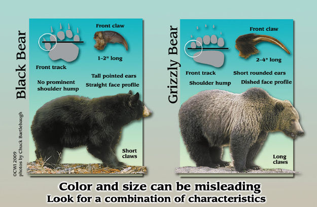 Know the difference. Photo by Wyoming Game & Fish Department .