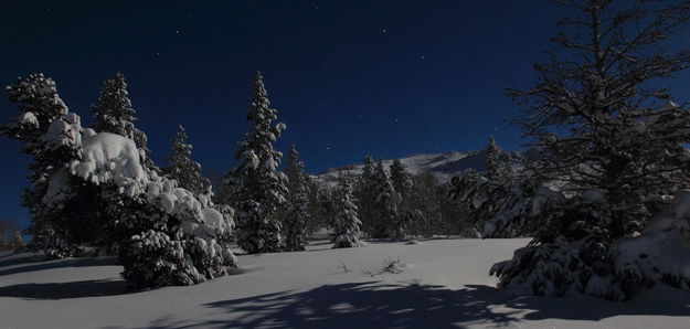 Full Moon X-C Skiing. Photo by Fred Pflughoft.