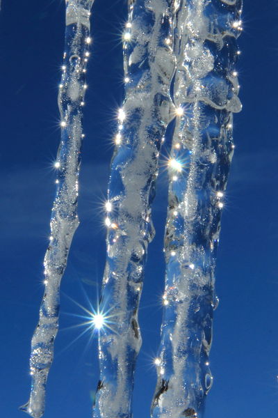 Icicle sparkles. Photo by Fred Pflughoft.