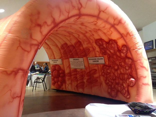 Colon cancer prevention interactive display.. Photo by Sublette County Rural Health Care District.