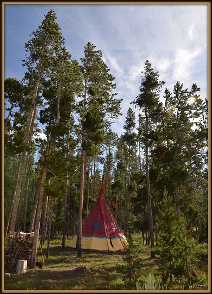 Tipi in the Woods. Photo by Terry Allen.