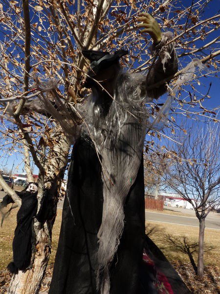 Witch. Photo by Dawn Ballou, Pinedale Online.