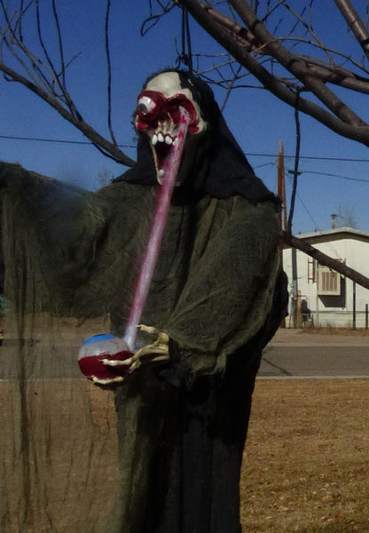 Ghoul. Photo by Dawn Ballou, Pinedale Online.