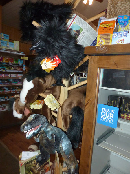 Animal Puppets. Photo by Dawn Ballou, Pinedale Online.