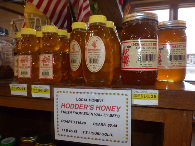 Hooden's Honey. Photo by Dawn Ballou, Pinedale Online.