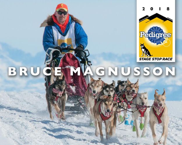 #10 Bruce Magnusson. Photo by International Pedigree Stage Stop Sled Dog Race.