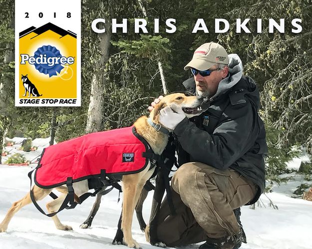 #3 Chris Adkins. Photo by International Pedigree Stage Stop Sled Dog Race.