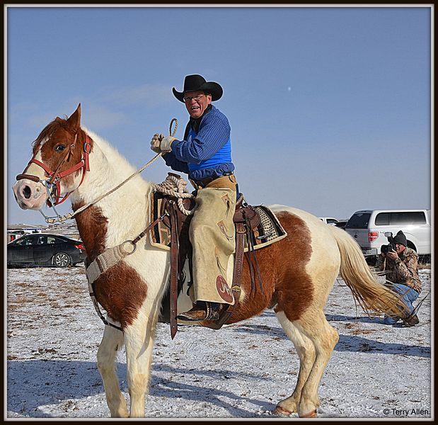 Dad's Horse Retires. Photo by Terry Allen.