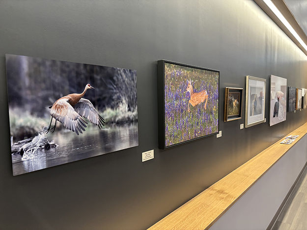 Entry Hall artwork. Photo by Dawn Ballou, Pinedale Online.