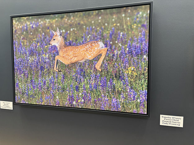 Flower Child. Photo by Dawn Ballou, Pinedale Online.
