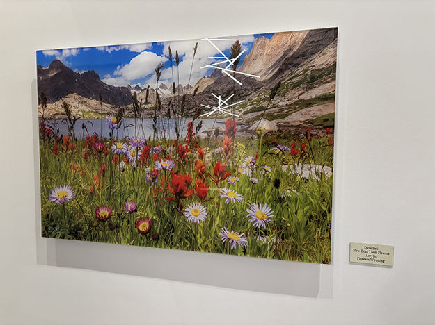 How 'Bout Them Flowers. Photo by Dawn Ballou, Pinedale Online.