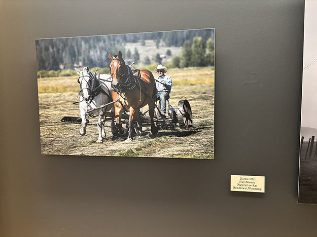 Hay Season. Photo by Dawn Ballou, Pinedale Online.