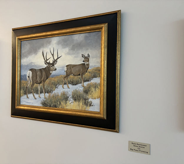 Mesa Mulies. Photo by Dawn Ballou, Pinedale Online.