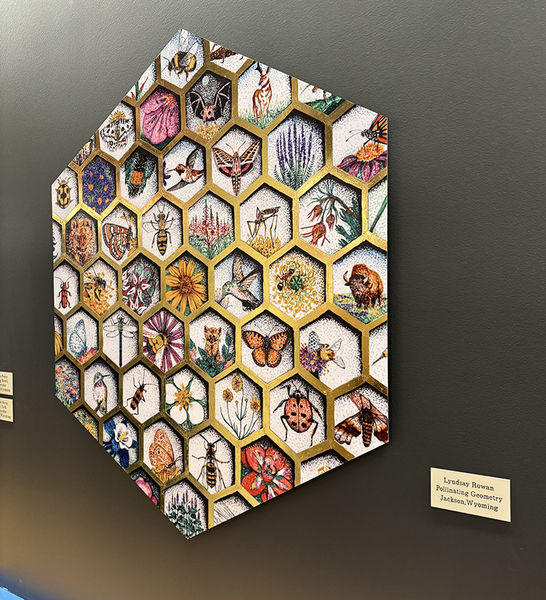 Pollinating Geometry. Photo by Dawn Ballou, Pinedale Online.