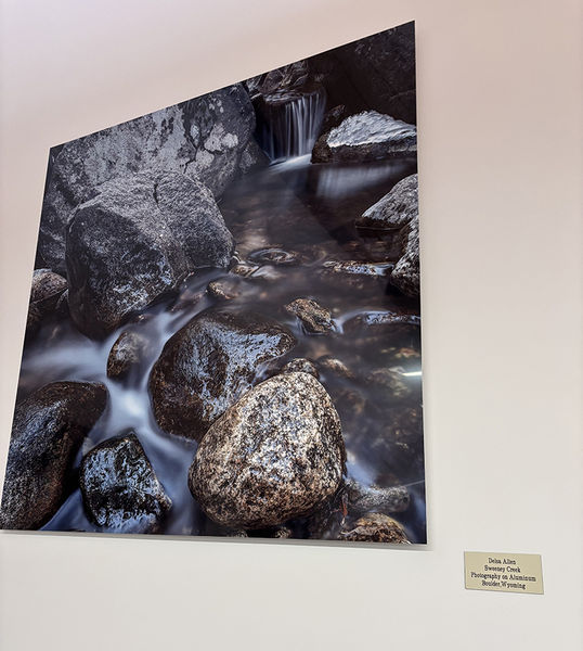 Sweeney Creek. Photo by Dawn Ballou, Pinedale Online.