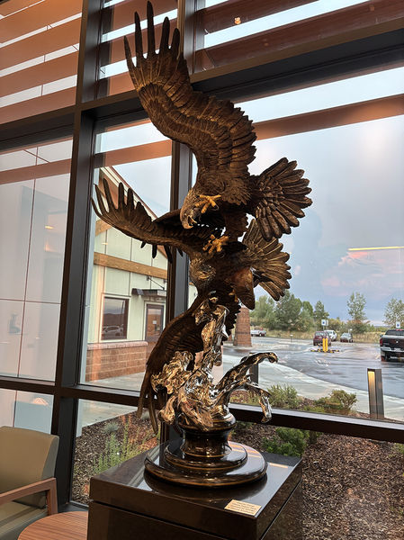 Where Eagles Dare. Photo by Dawn Ballou, Pinedale Online.