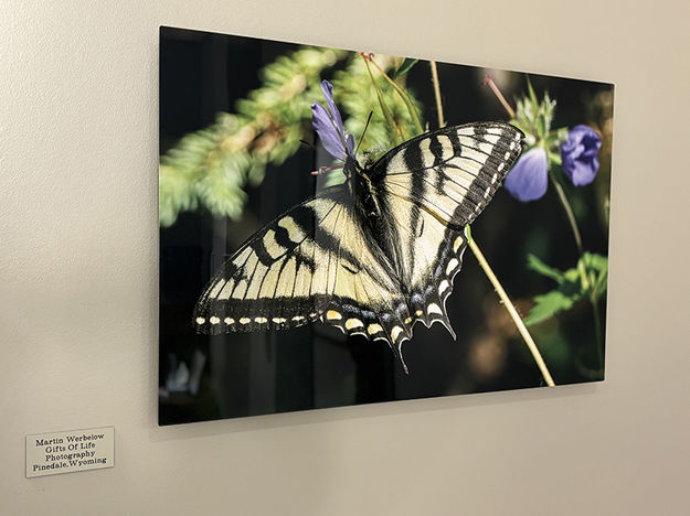 Gifts of Life. Photo by Dawn Ballou, Pinedale Online.