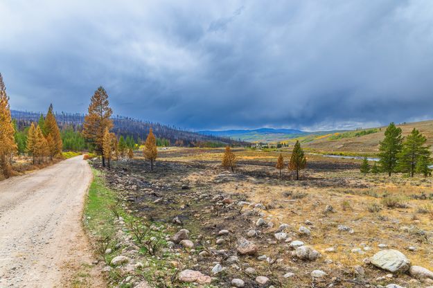 Green River Lakes road. Photo by Dave Bell.