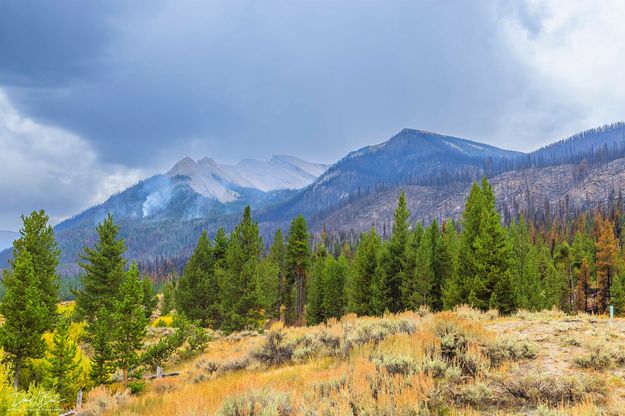 Side burn. Photo by Dave Bell.