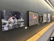 Entry Hall artwork. Photo by Dawn Ballou, Pinedale Online.