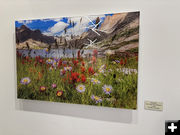 How 'Bout Them Flowers. Photo by Dawn Ballou, Pinedale Online.