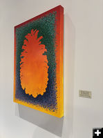 Re-regenerate. Photo by Dawn Ballou, Pinedale Online.