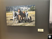 Hay Season. Photo by Dawn Ballou, Pinedale Online.