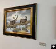 Mesa Mulies. Photo by Dawn Ballou, Pinedale Online.