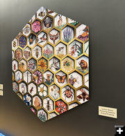 Pollinating Geometry. Photo by Dawn Ballou, Pinedale Online.