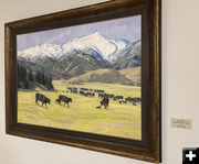 Calving Time. Photo by Dawn Ballou, Pinedale Online.