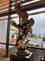 Where Eagles Dare. Photo by Dawn Ballou, Pinedale Online.