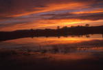 Spring sunset along Horse Creek