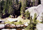 Mountain trails