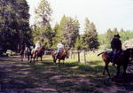 Trail rides