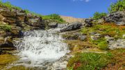 Gorgeous Fresh Water. Photo by Dave Bell.