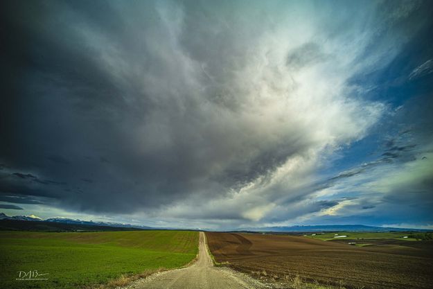 Miles and Miles of Miles and Miles. Photo by Dave Bell.