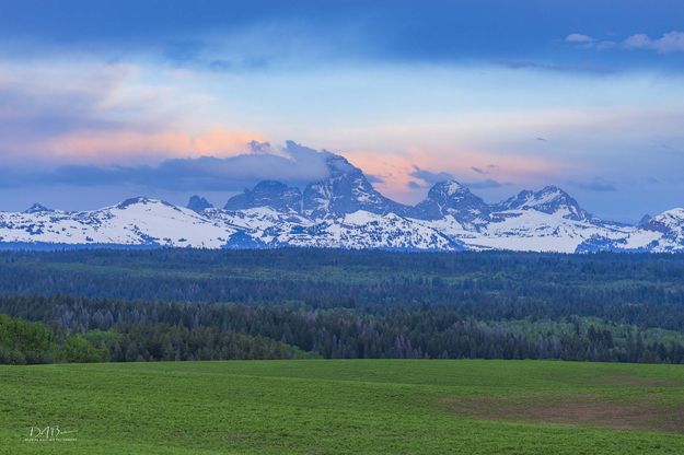 Green Fields and Forests. Photo by Dave Bell.