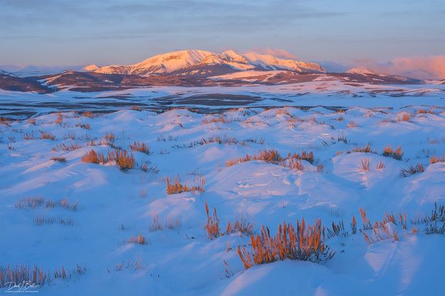 . Photo by Dave Bell.