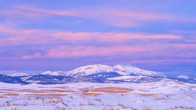 . Photo by Dave Bell.