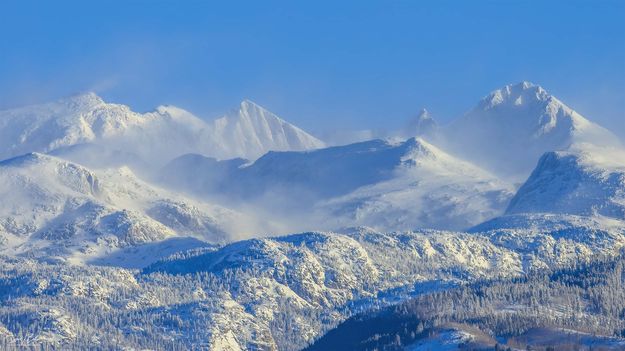 Windy Cold. Photo by Dave Bell.