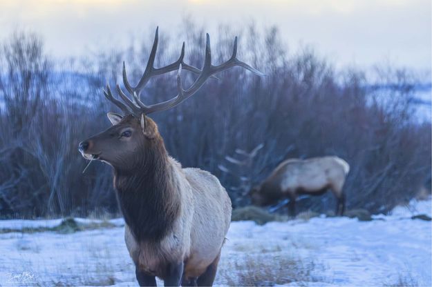 . Photo by Dave Bell.