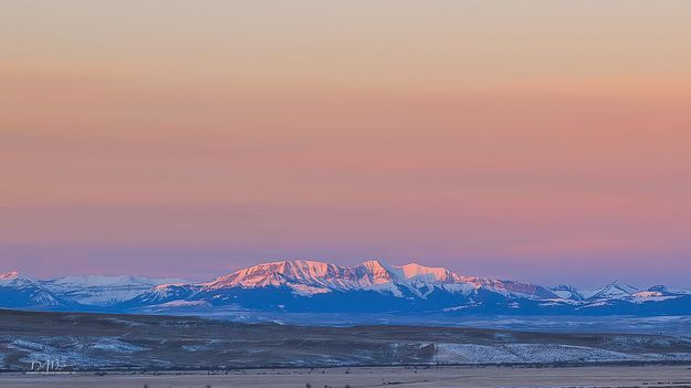 Triple Beauty. Photo by Dave Bell.