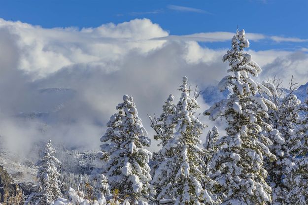 Winter Scene. Photo by Dave Bell.