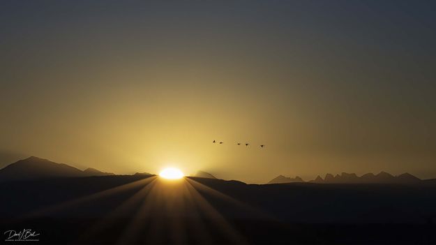 Headed South. Photo by Dave Bell.